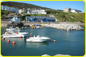 Cheetah Marine - Ventnor 1