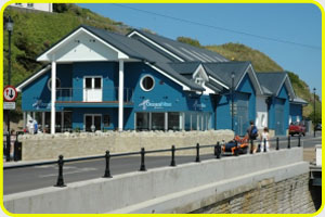 Cheetah Marine - Ventnor 2